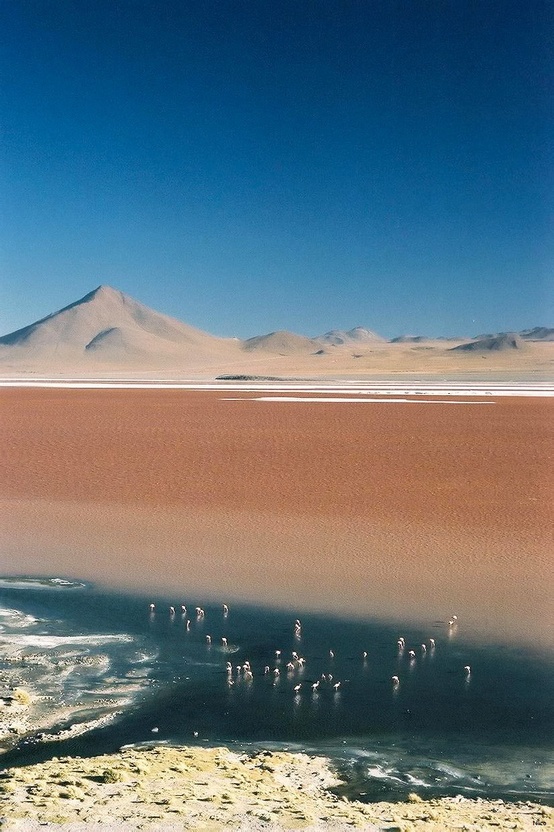 Photo:  Sea of Salt. National Park Salar de Uyuni, Bolivia. 